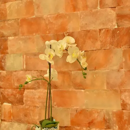 Design Premium Lux: Dubai-inspired Wellness Retreat * Cuprija