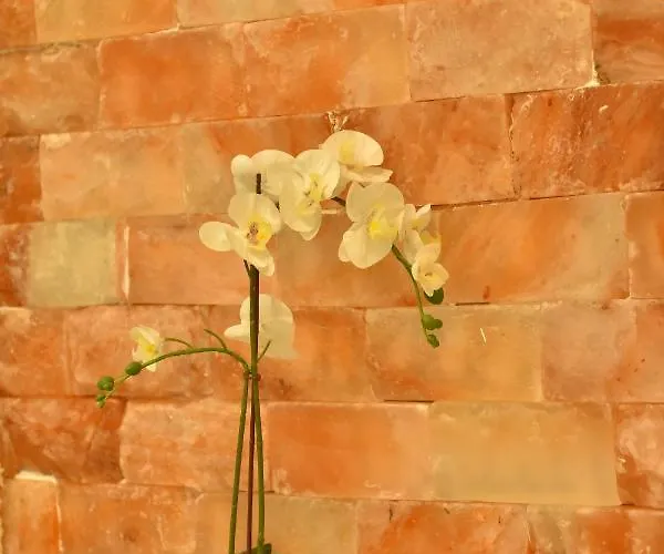 Design Premium Lux 4 Star 